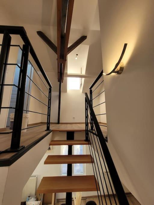 Splendide Duplex Appartement Saint-Dizier Buitenkant foto